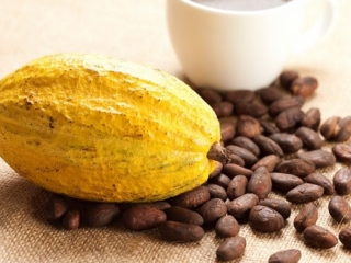  CACAO – THẢO DƯỢC THẦN KỲ