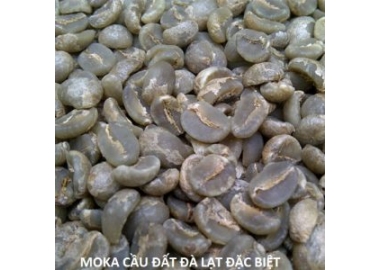 MOKA CẦU ĐẤT