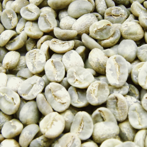  ARABICA CATIMOR CẦU ĐẤT?